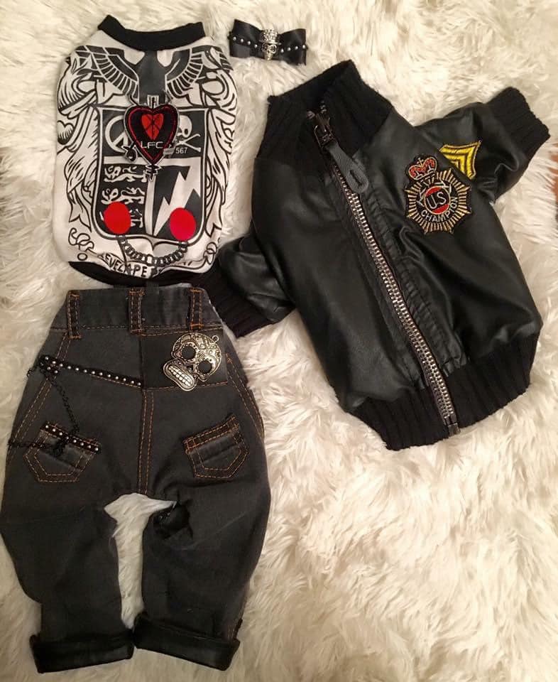 Кожено бомбър якенце, блузка, дънково панталонче и панделка “My Yorkie Fashion Icon collection by FREA”